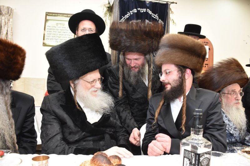 יהודה פרקוביץ