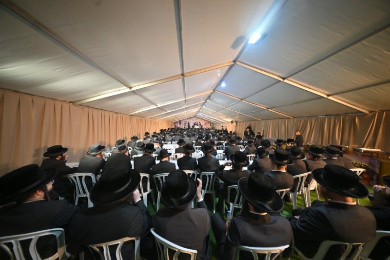 יהושע פרוכטר