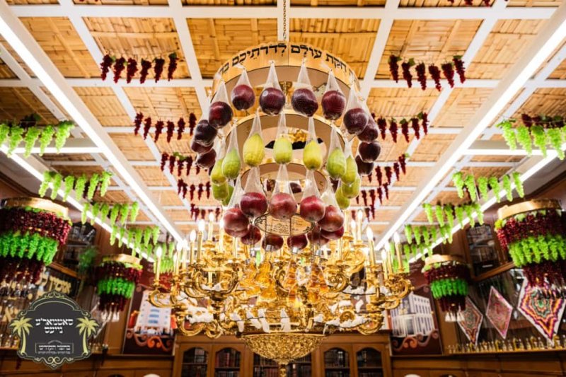 באדיבות המצלם