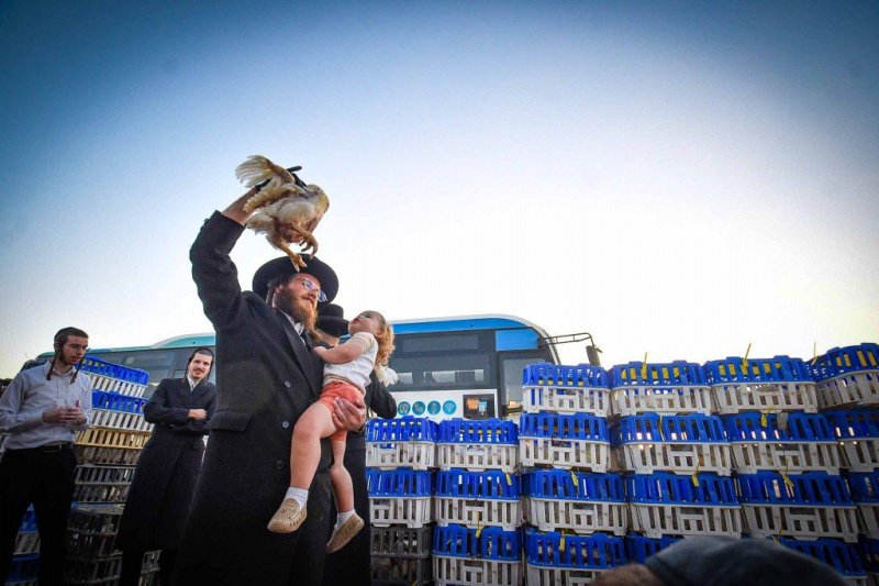 ארי קופרשטוק