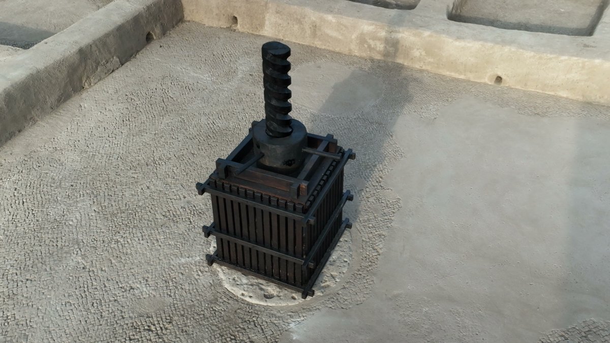 אמיל אלג'ם, רשות העתיקות