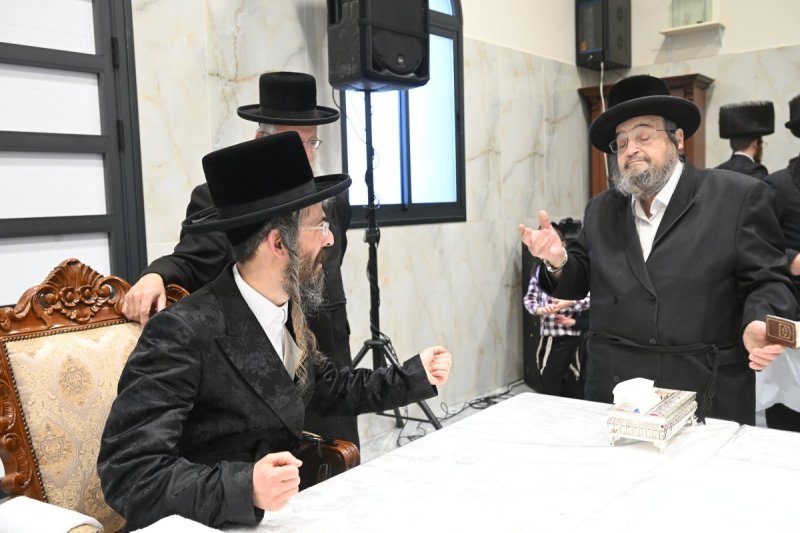 שימי פ.