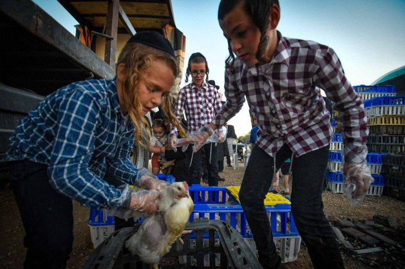 ארי קופרשטוק