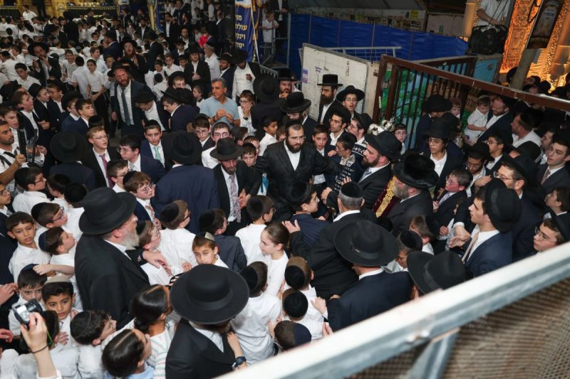מאיר זלזניק, עזרא טרבלסי, ים לביא