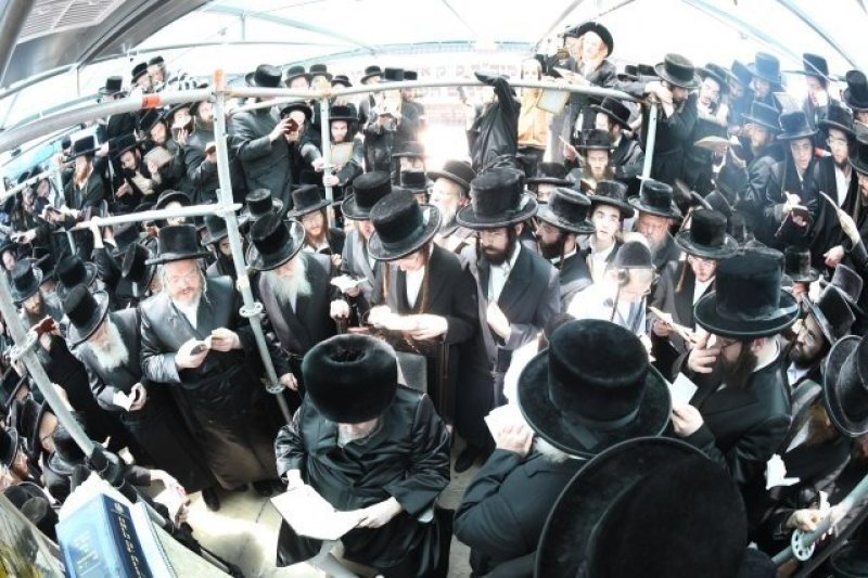 אנשיל בעק וא.מ.ש