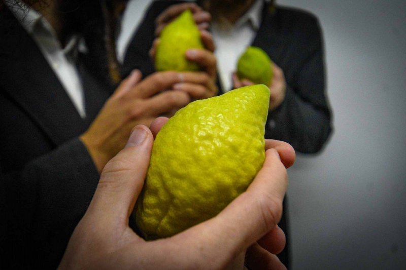 ארי קופרשטוק