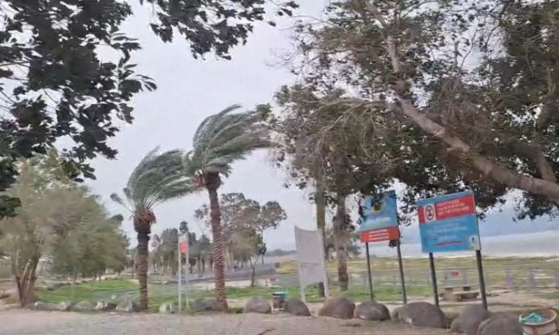סכנה מיידית בכינרת: חופים נסגרו בעקבות רוחות קיצוניות | תיעוד
