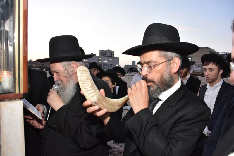 יהודה פרקוביץ