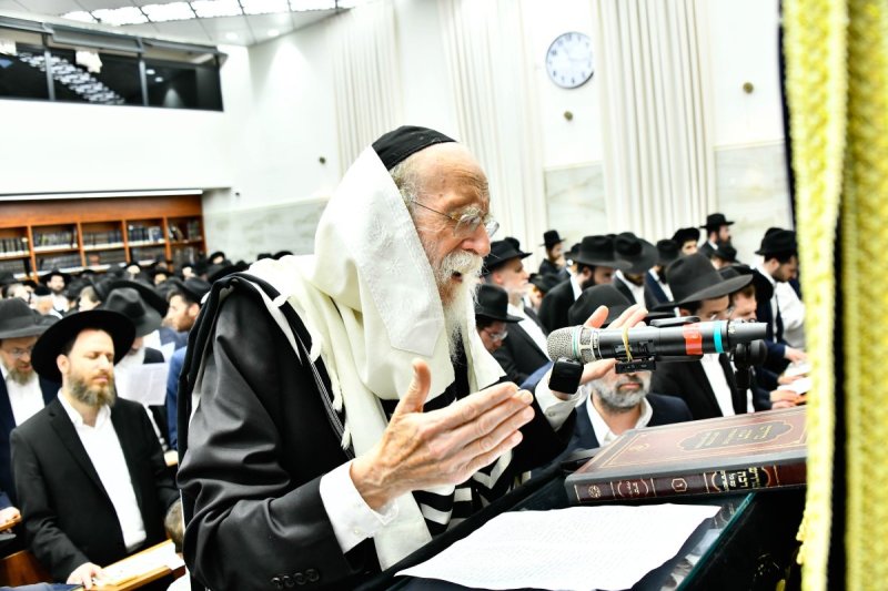שוקי לרר