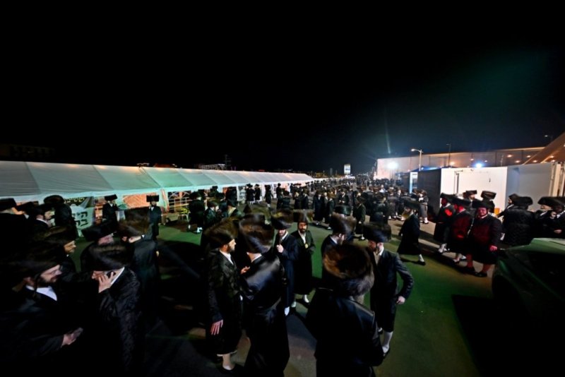 יהושע פרוכטר