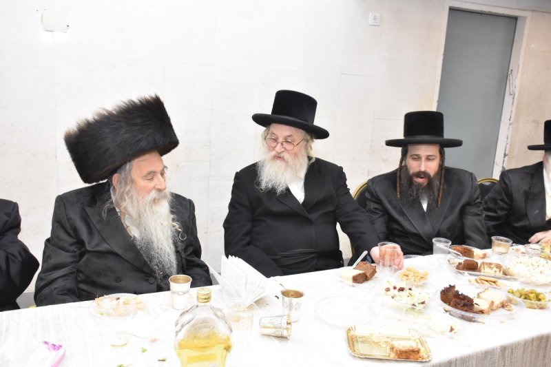 יהודה פרקוביץ