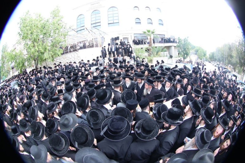 שלומי טריכטר