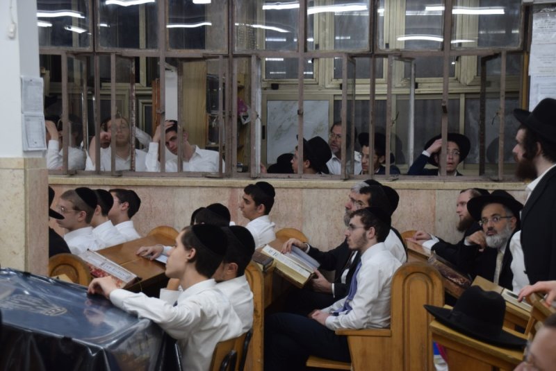 באדיבות המצלם