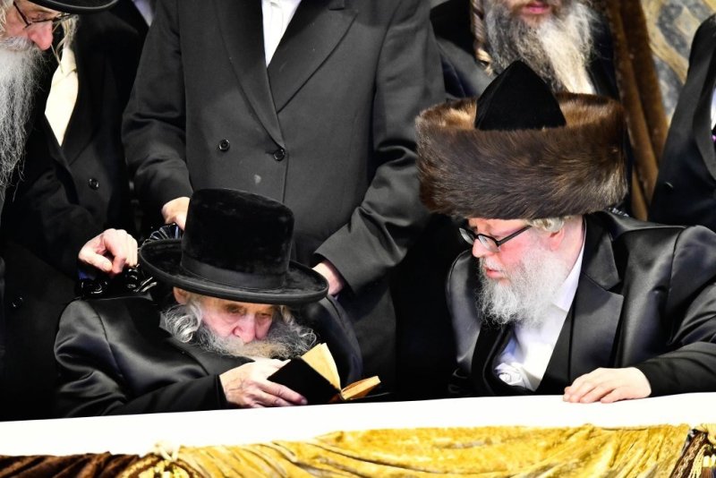שוקי לרר
