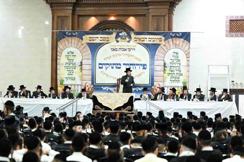 משה גולדשטיין