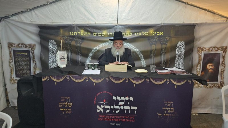 אלחנן קוטלר