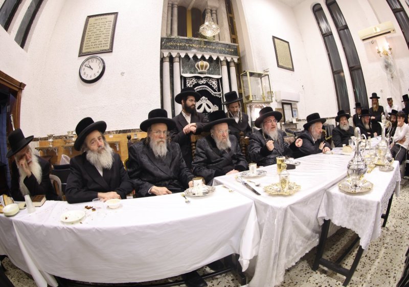 נתי אמרגי