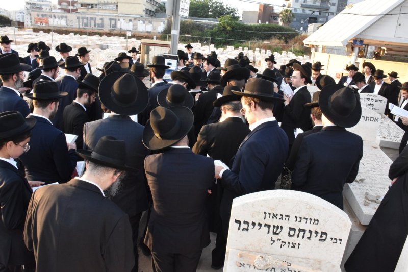 יהודה פרקוביץ