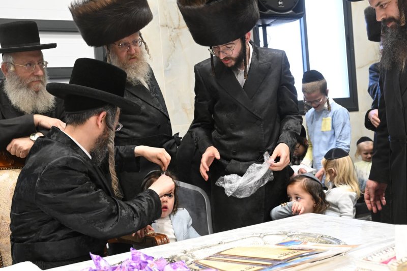 שימי פ.