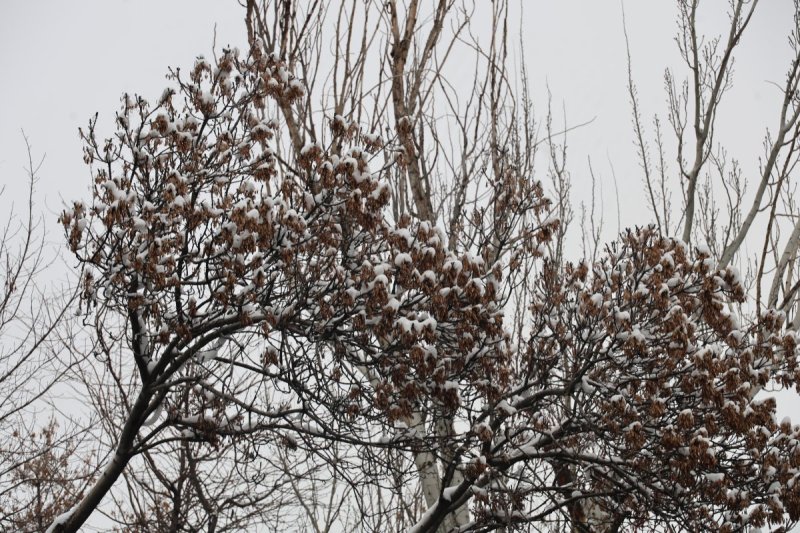 צילום: מרדכי לובעצקי