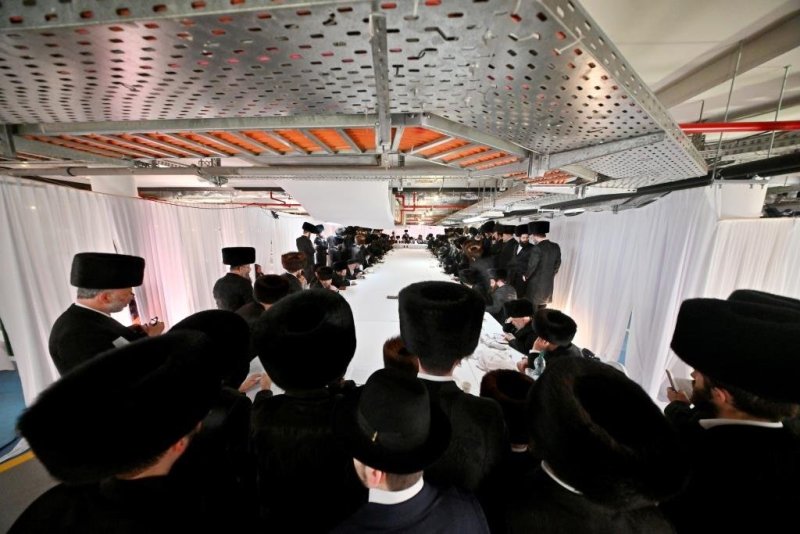 יהושע פרוכטר