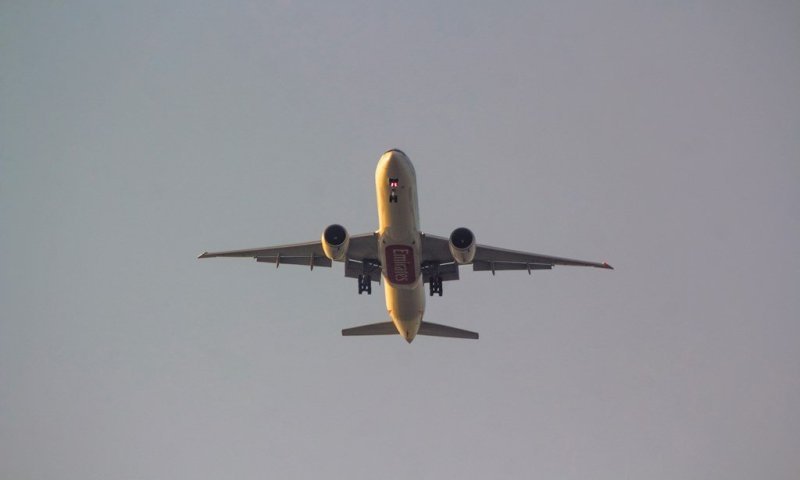 בן 80 ניסה לעלות לטיסה עם אשתו, שמתה שעות קודם לכן