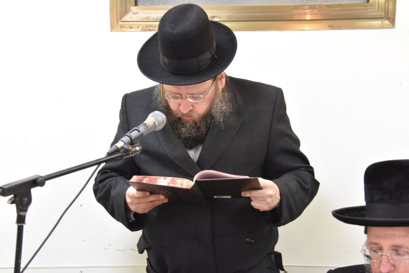 יהודה פרקוביץ