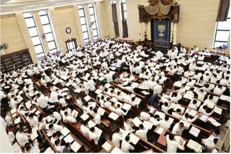 מאיר שבח