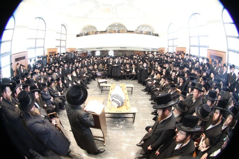 שלומי טריכטר