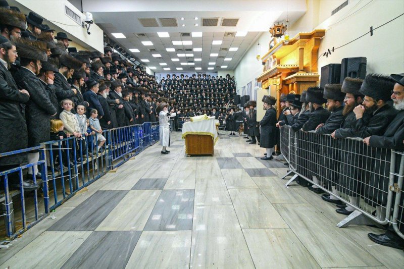 דוד ארזני וארי קופרשטוק