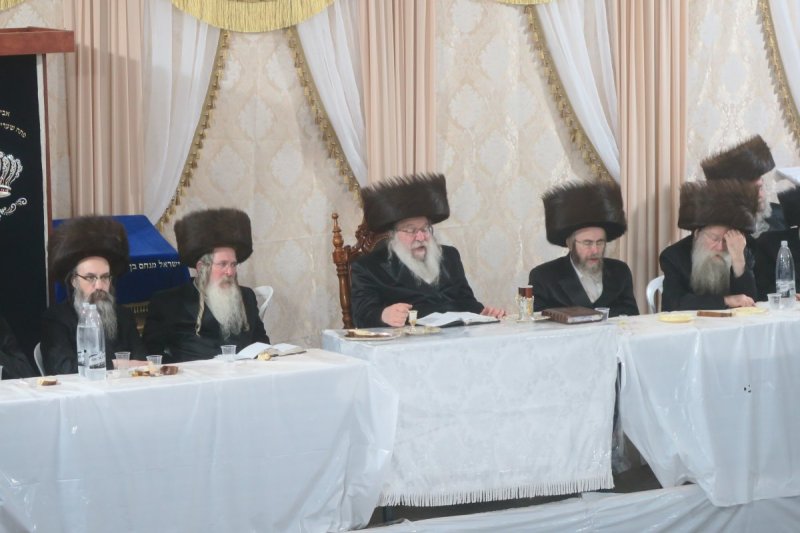 מ. אדלר