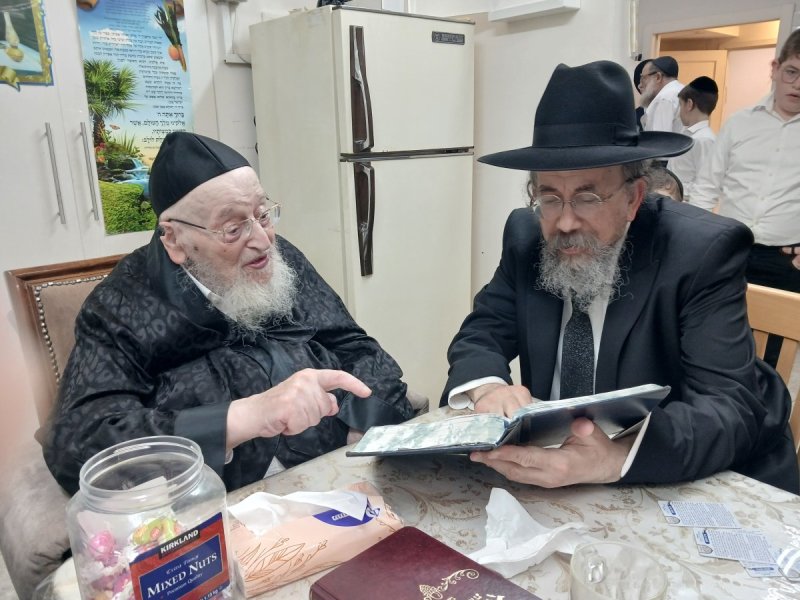 שוקי לרר