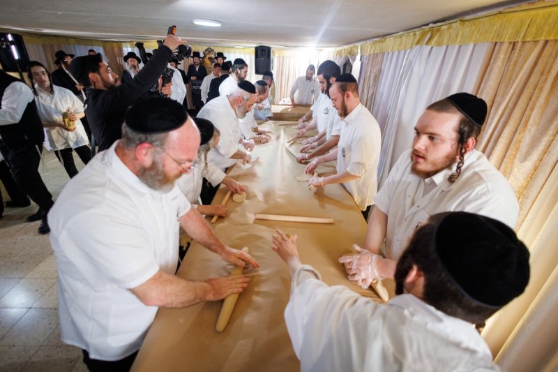 דניאל נפוסי