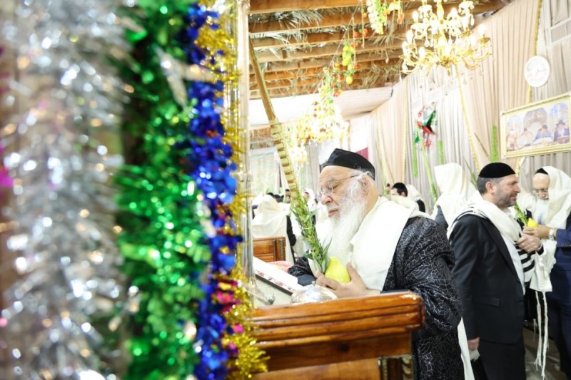 שלומי טריכטר ומ.פ