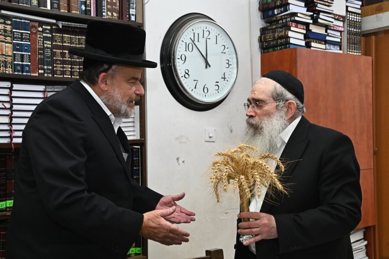 שוקי לרר