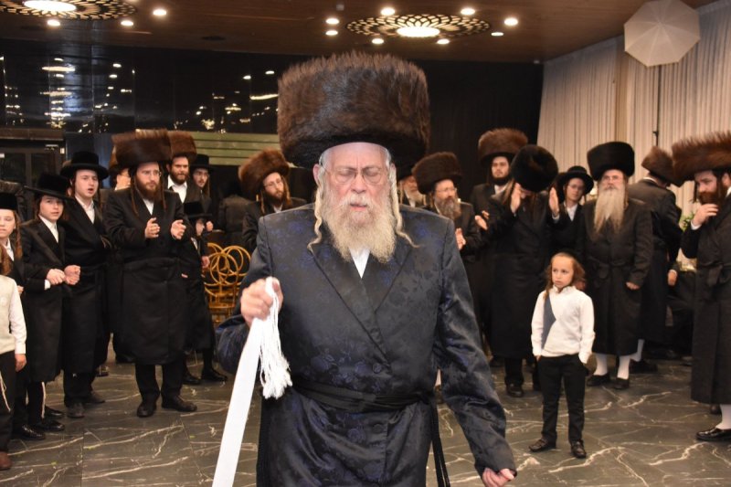 יהודה פרקוביץ