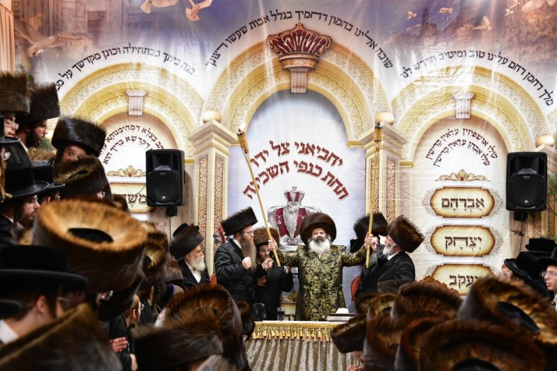 יוסי לוי