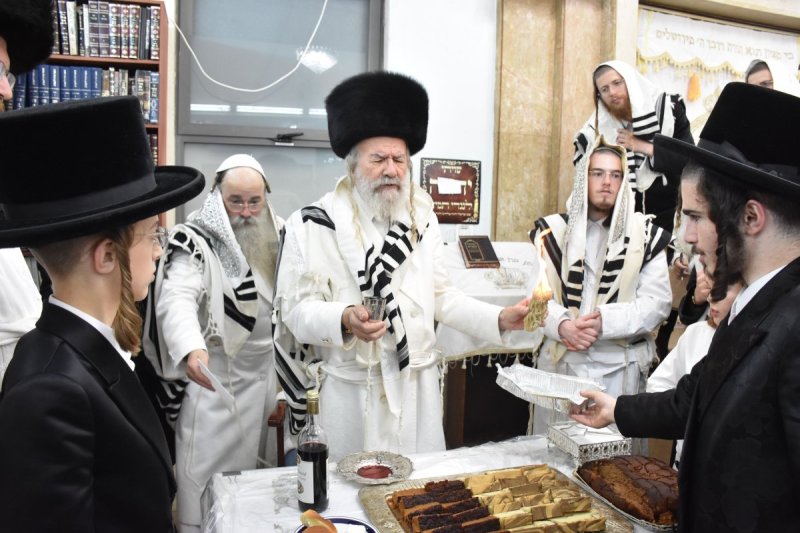 יהודה פרקוביץ