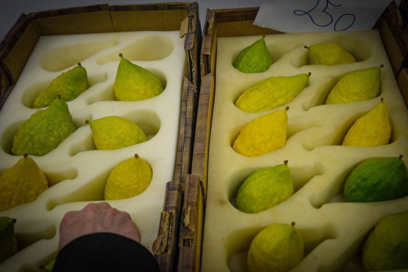 ארי קופרשטוק