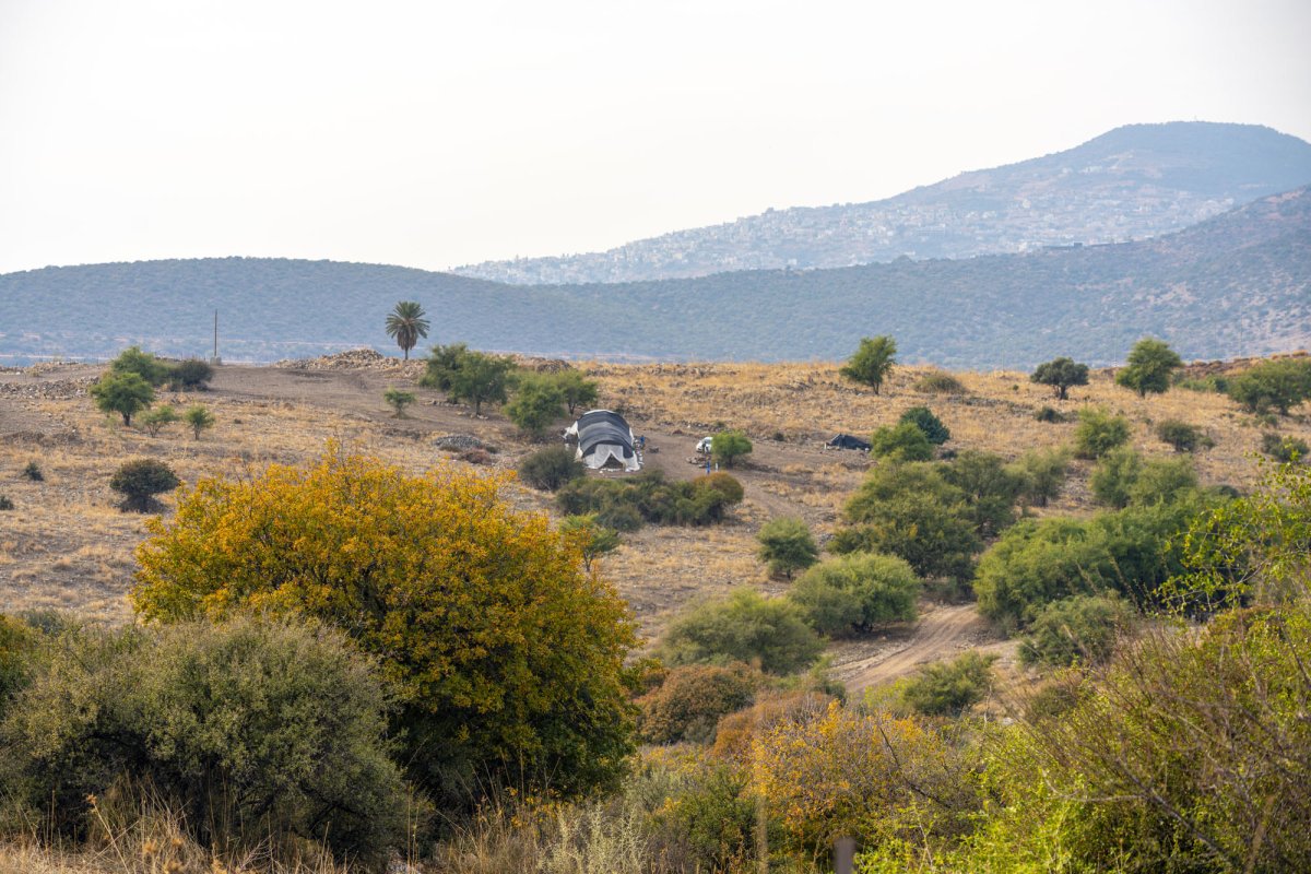 יניב ברמן רשות העתיקות