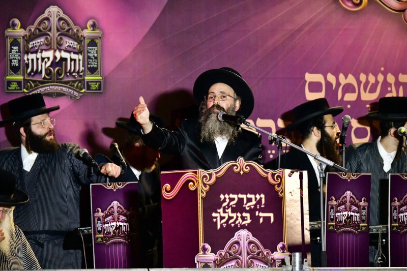 שוקי לרר