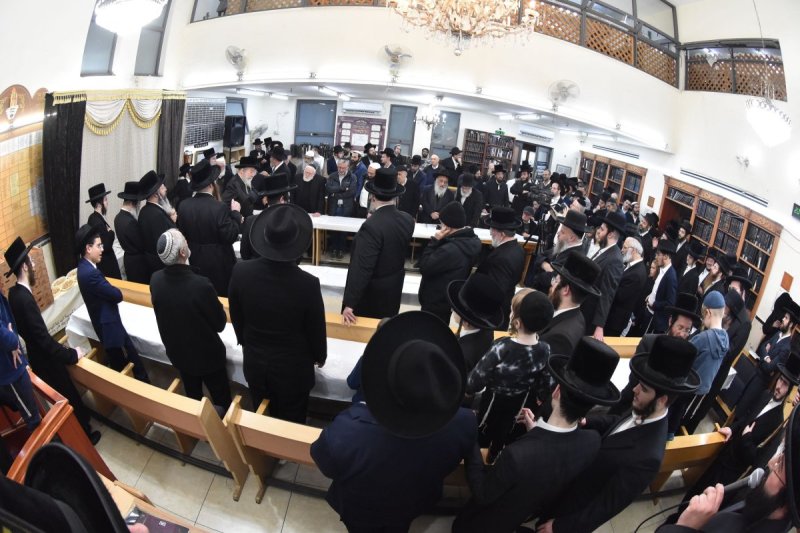 יהודה פרקוביץ