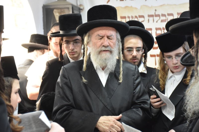 יהודה פרקוביץ