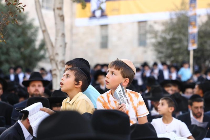 דניאל נפוסי ודוד מנדלסון