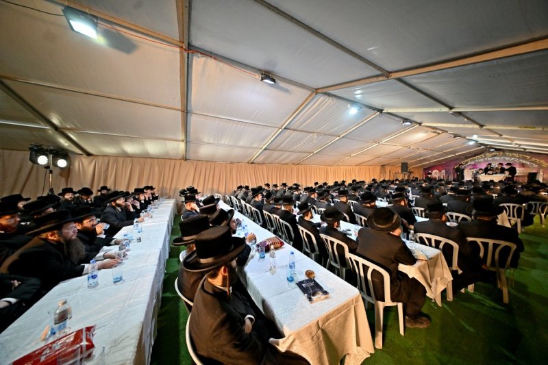 יהושע פרוכטר