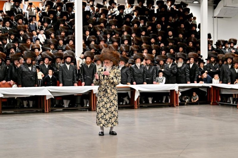 יהושע פרוכטר