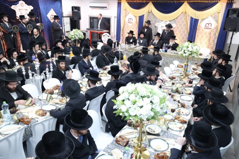 קובי הר צבי