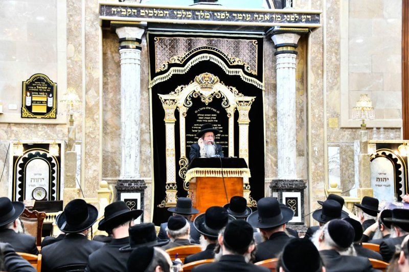 שוקי לרר