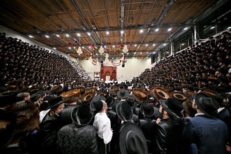 יהושע פרוכטר