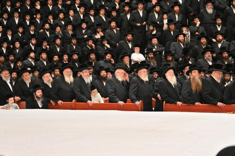 יהושע פרוכטר